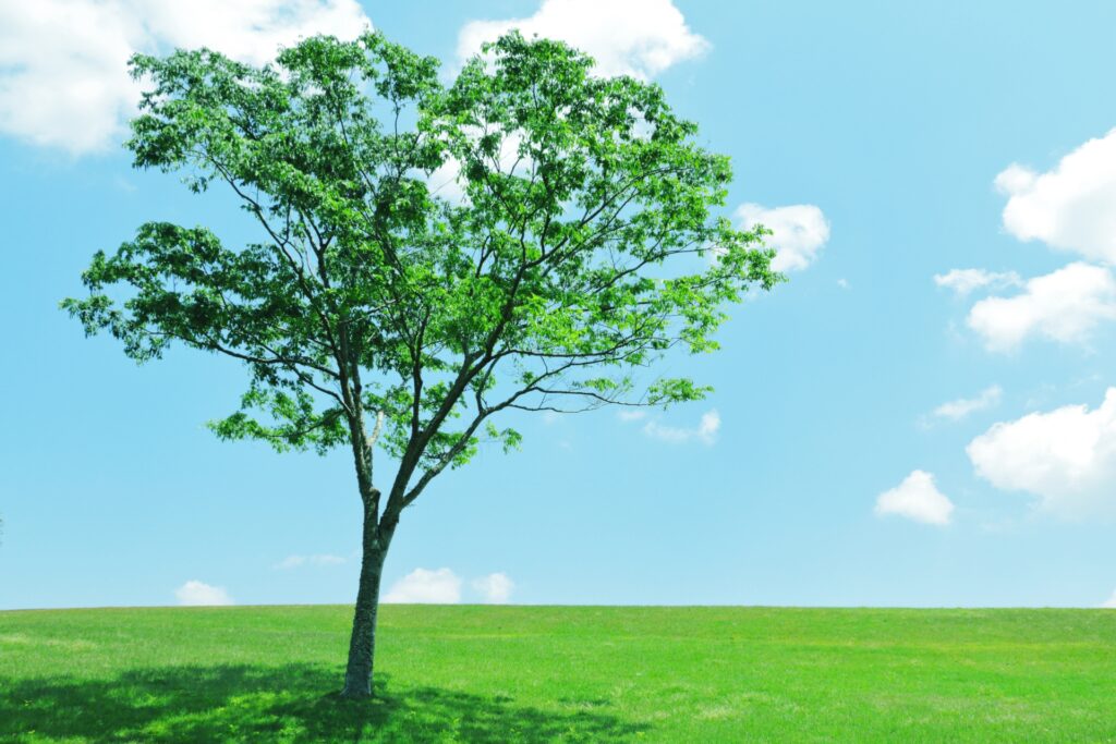 埼玉桶川カウンセリングルーム