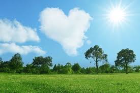 子ども・家族　心の相談室